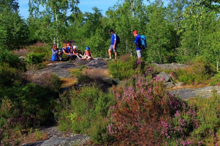 Camping Marvilla Parks -Parc Des Roches 91530 Saint-Chéron Kültér fotó